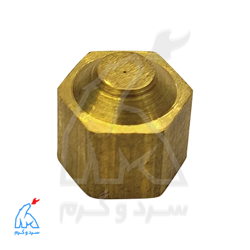 IMG_20260924_133843 نازل پیلوت آبگرمکن پلار PSD